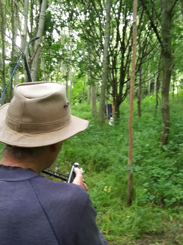 Small 3D fox between trees
