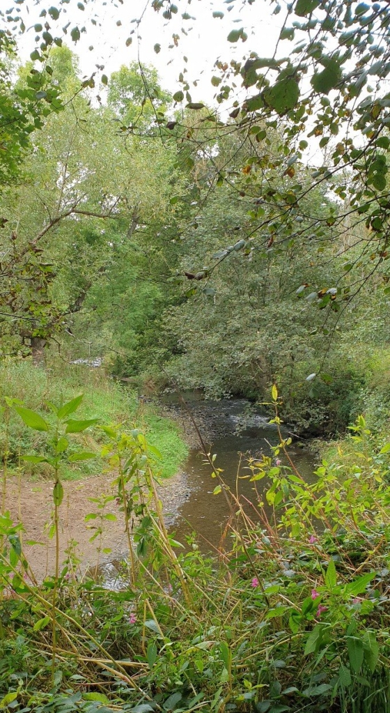 view of stream